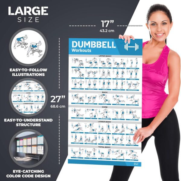 [12-PACK] Laminated Large Workout Poster Set - Perfect ... - Image 5