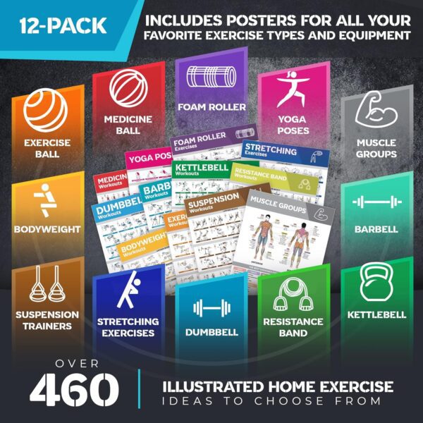 [12-PACK] Laminated Large Workout Poster Set - Perfect ... - Image 4