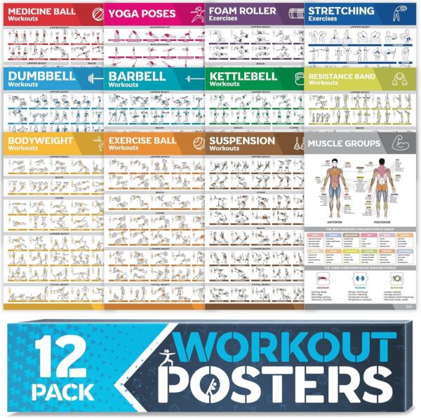 [12-PACK] Laminated Large Workout Poster Set - Perfect ... - Image 2